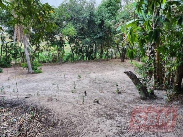 Sítio e chácara venda em Região Imediata de Lins, Cafelândia