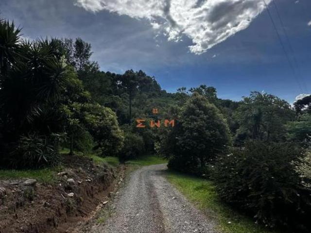 Sítio e chácara venda em Região Geográfica Imediata de Caxias do Sul, Farroupilha