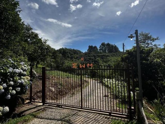Sítio e chácara venda em Região Geográfica Imediata de Caxias do Sul, Farroupilha