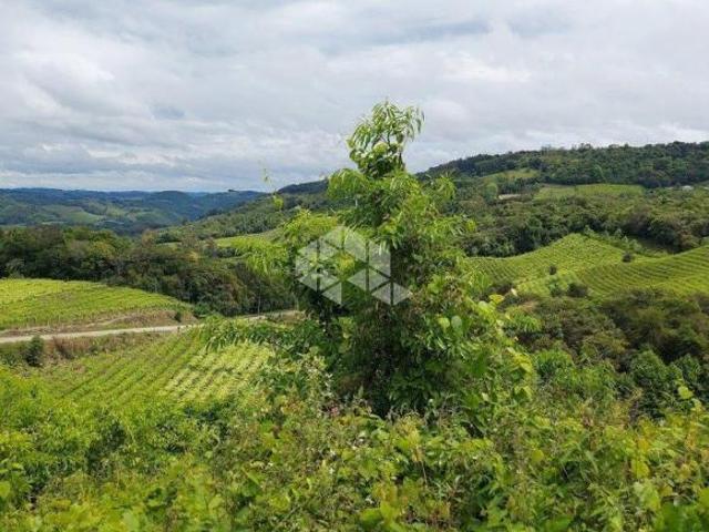 Sítio e chácara venda em Região Geográfica Imediata de Bento Gonçalves, Bento Gonçalves