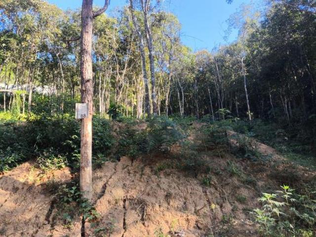 Sítio e chácara venda em Região Imediata de São Paulo, Região Metropolitana de São Paulo