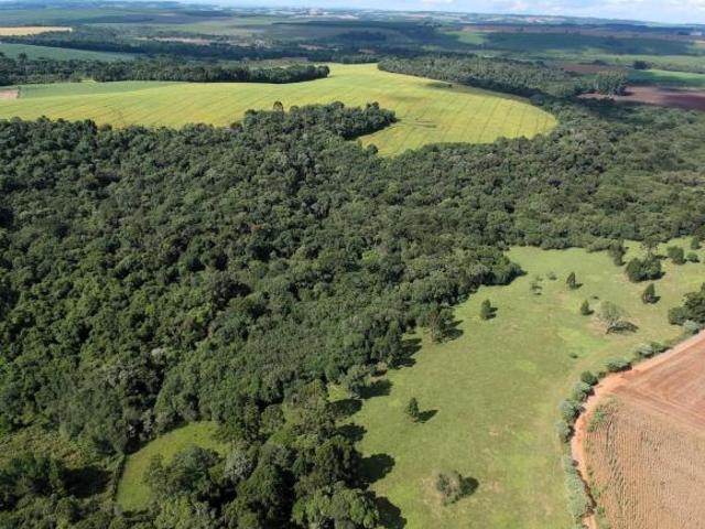 Sítio e chácara venda em Região Geográfica Imediata de Irati, Teixeira Soares
