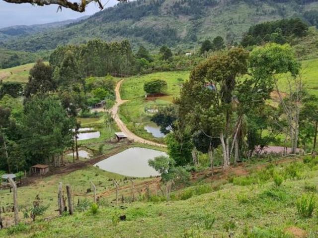 Sítio e chácara venda em Região Geográfica Imediata de Curitiba, Região Metropolitana de Curitiba