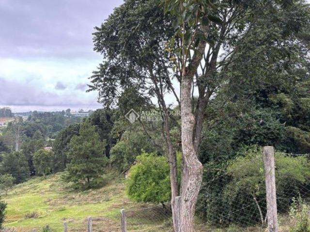 Sítio e chácara venda em Região Geográfica Imediata de Curitiba, Região Metropolitana de Curitiba