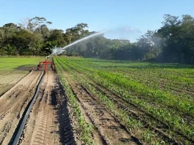 Sítio e chácara venda em Santo Antônio de Leverger, Região Geográfica Intermediária de Cuiabá