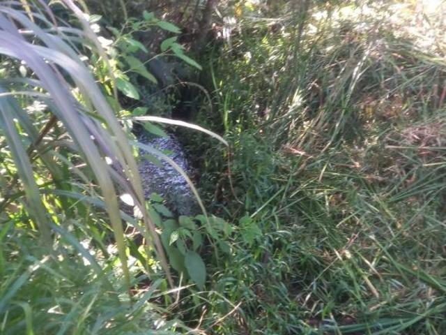 Sítio e chácara venda em Região Imediata de Bragança Paulista, Vargem