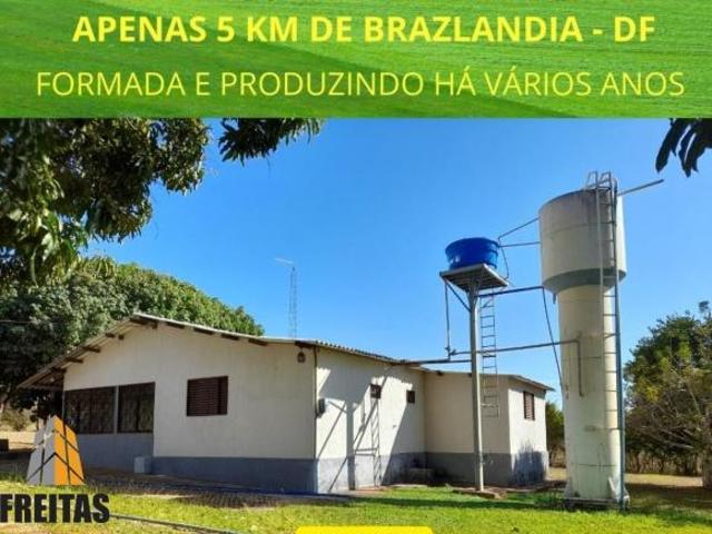 Sítio e chácara venda em Região Geográfica Imediata do Distrito Federal, Região Integrada de Desenvolvimento do Distrito Federal e Entorno