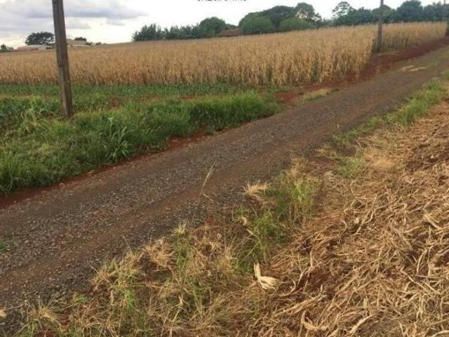 Sítio e chácara venda em Região Geográfica Imediata de Marechal Cândido Rondon, Marechal Cândido Rondon