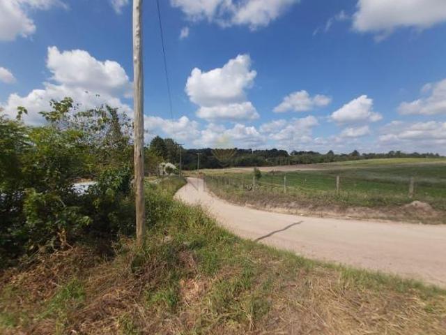 Sítio e chácara venda em Região Geográfica Imediata de Curitiba, Região Metropolitana de Curitiba