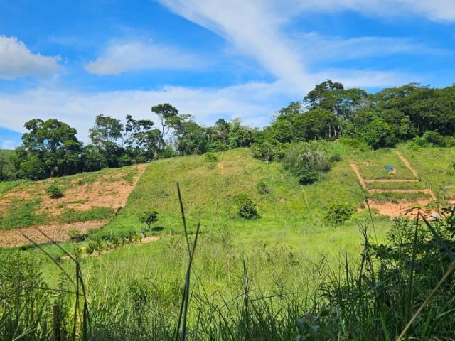 Sítio e chácara venda em Região Geográfica Imediata de Ipatinga, Belo Oriente