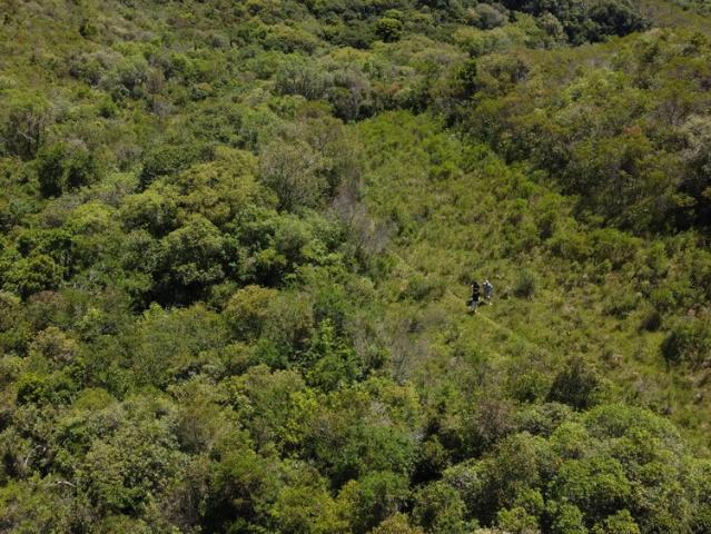 Sítio e chácara venda em Região Geográfica Imediata de São Gabriel - Caçapava do Sul, Cacapava do Sul