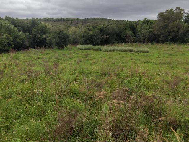 Sítio e chácara venda em Região Geográfica Imediata de São Gabriel - Caçapava do Sul, Cacapava do Sul