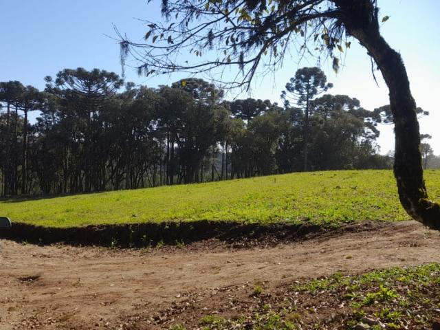 Sítio e chácara venda em Região Geográfica Imediata de São Bento do Sul-Rio Negrinho, Campo Alegre