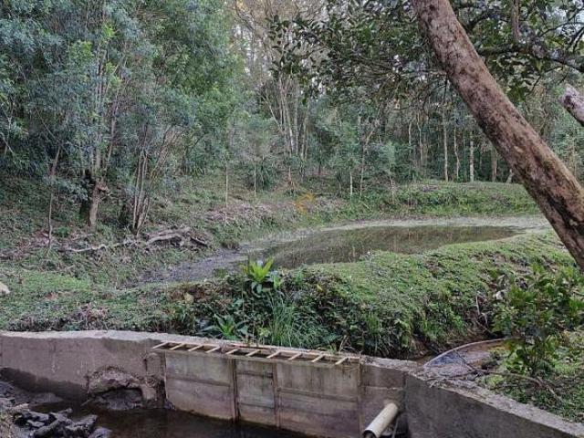 Sítio e chácara venda em Região Geográfica Imediata de Curitiba, Região Metropolitana de Curitiba
