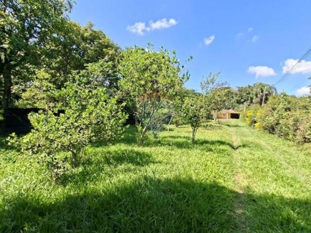 Sítio e chácara venda em Região Imediata de Campinas, Região Metropolitana de Campinas