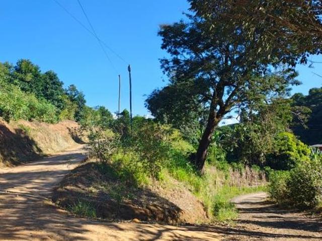 Sítio e chácara venda em Região Geográfica Imediata de Manhuaçu, Manhuaçu