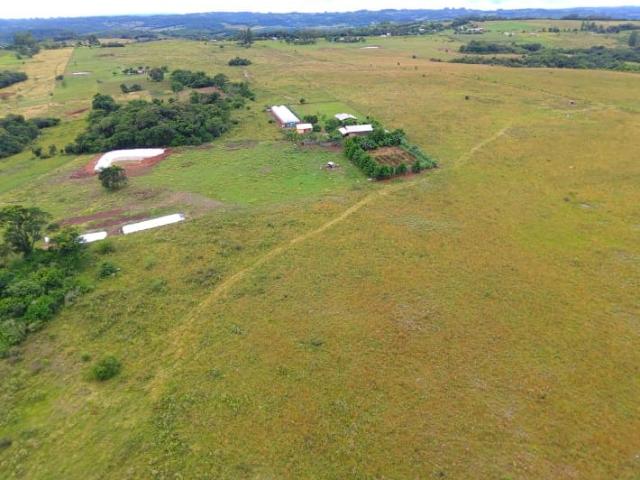 Sítio e chácara venda em Região Geográfica Imediata de Santa Maria, São Francisco de Assis