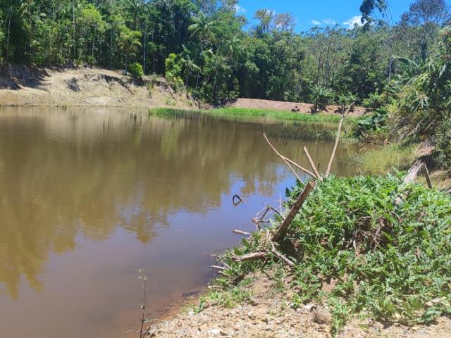 Sítio e chácara venda em Região Geográfica Imediata de Joinville, São João do Itaperiu