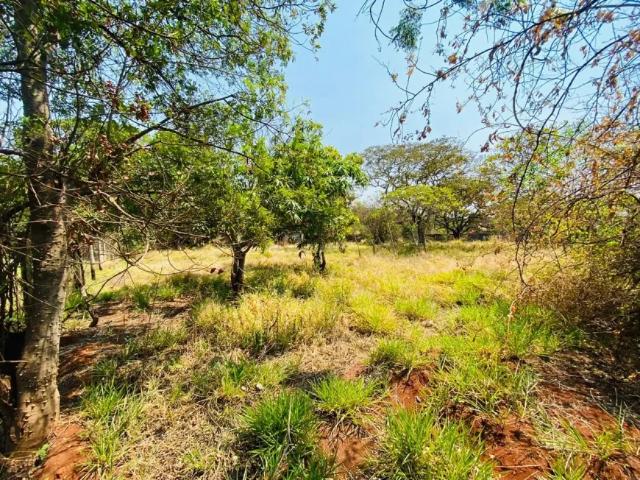 Fazenda venda em Região Geográfica Imediata de Belo Horizonte, Região Metropolitana de Belo Horizonte