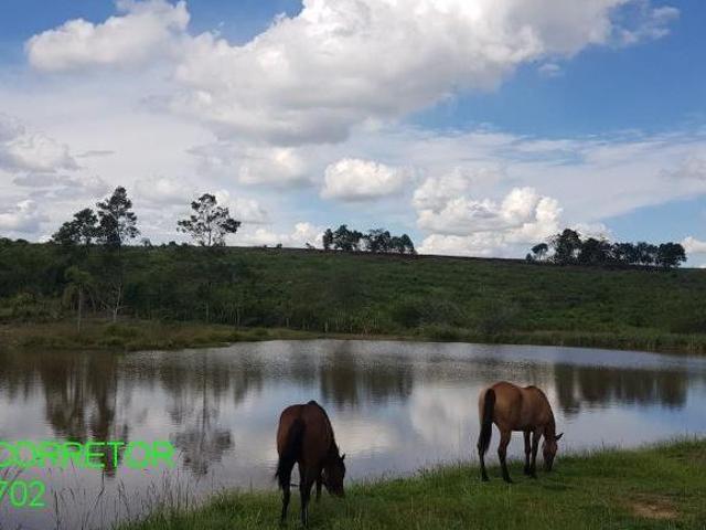 Sítio e chácara venda em Região Geográfica Imediata de Montenegro, Região Metropolitana de Porto Alegre