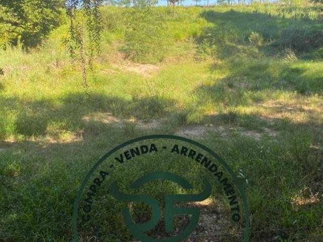 Sítio e chácara venda em Santiago, Região Sul