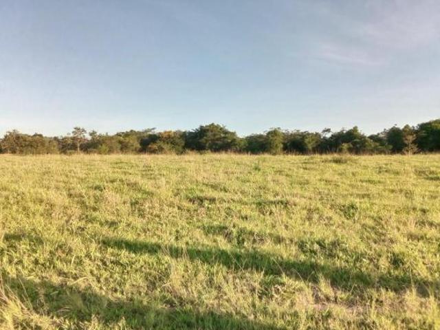 Sítio e chácara venda em Região Geográfica Imediata de Santo Antônio da Platina, Jacarezinho