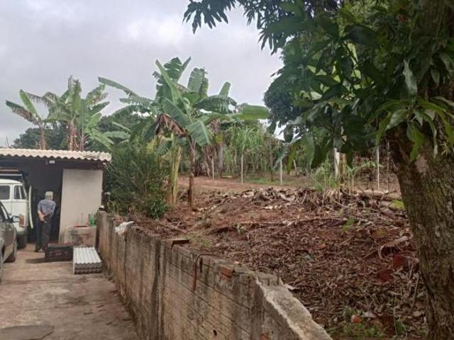 Sítio e chácara venda em Região Geográfica Imediata de Santo Antônio da Platina, Jacarezinho