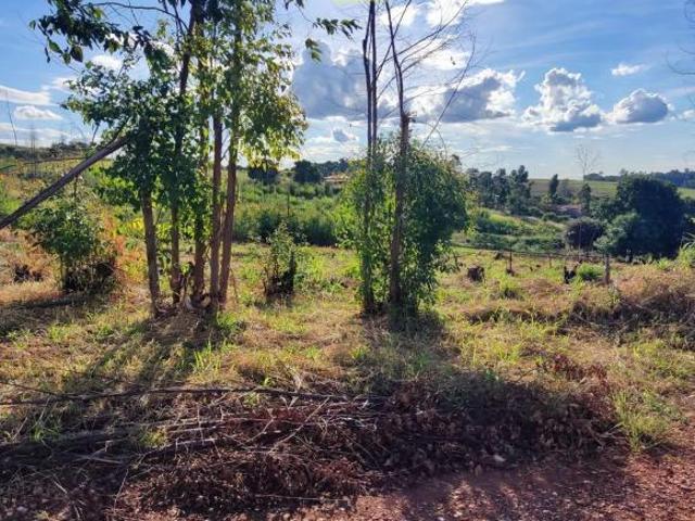 Sítio e chácara venda em Warta, Londrina