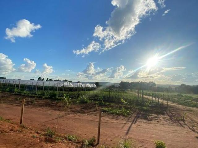 Sítio e chácara venda em Região Geográfica Imediata do Distrito Federal, Região Integrada de Desenvolvimento do Distrito Federal e Entorno