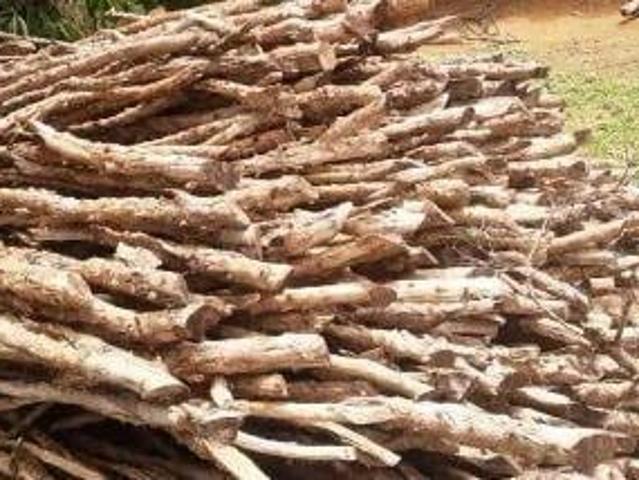 Sítio e chácara venda em Região Geográfica Imediata de Guaxupé, Muzambinho
