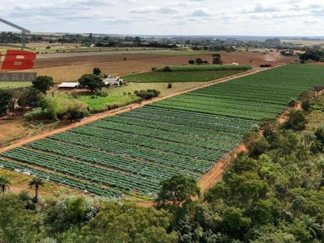 Sítio e chácara venda em Região Geográfica Imediata do Distrito Federal, Região Integrada de Desenvolvimento do Distrito Federal e Entorno