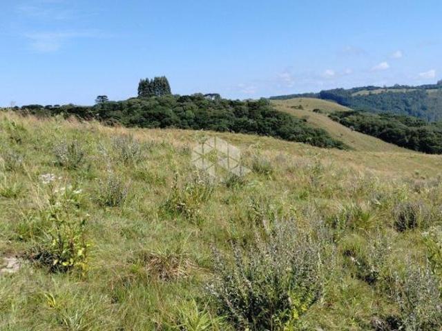 Sítio e chácara venda em Região Geográfica Imediata de Caxias do Sul, Caxias do Sul
