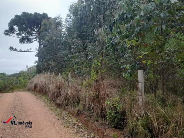 Sítio e chácara venda em Região Geográfica Imediata de Curitiba, Região Metropolitana de Curitiba