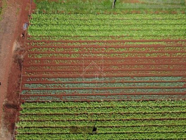 Sítio e chácara venda em Região Geográfica Imediata de Foz do Iguaçu, Foz do Iguaçu