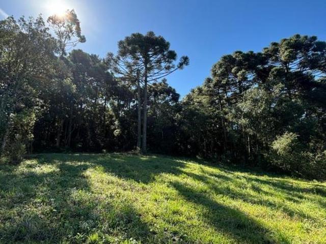 Sítio e chácara venda em Região Geográfica Imediata de Caxias do Sul, Caxias do Sul