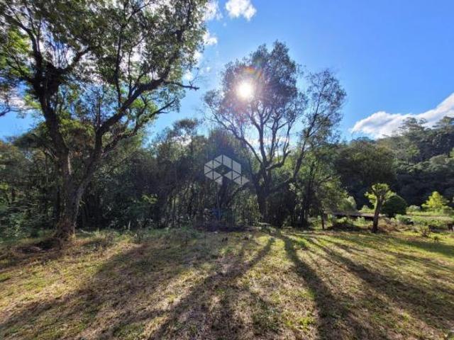Sítio e chácara venda em Região Geográfica Imediata de Caxias do Sul, São Marcos