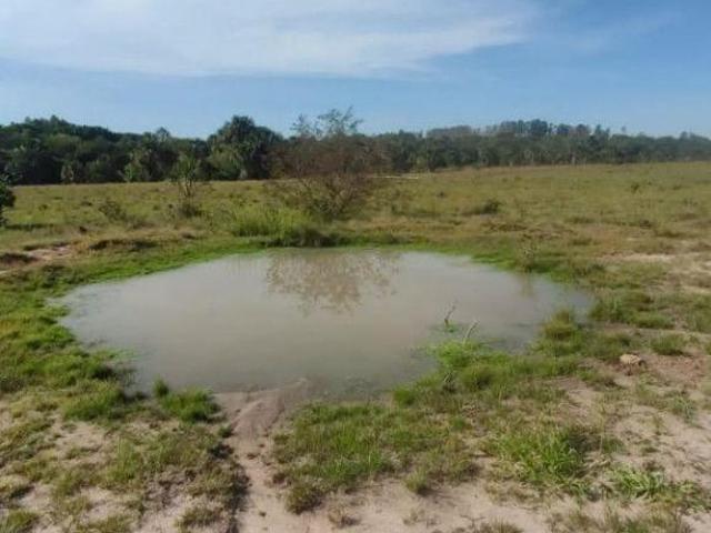 Sítio e chácara venda em Região Geográfica Imediata de Campo Grande, Campo Grande