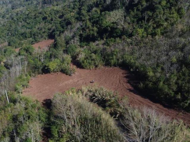 Sítio e chácara venda em Região Geográfica Imediata de Caxias do Sul, Caxias do Sul