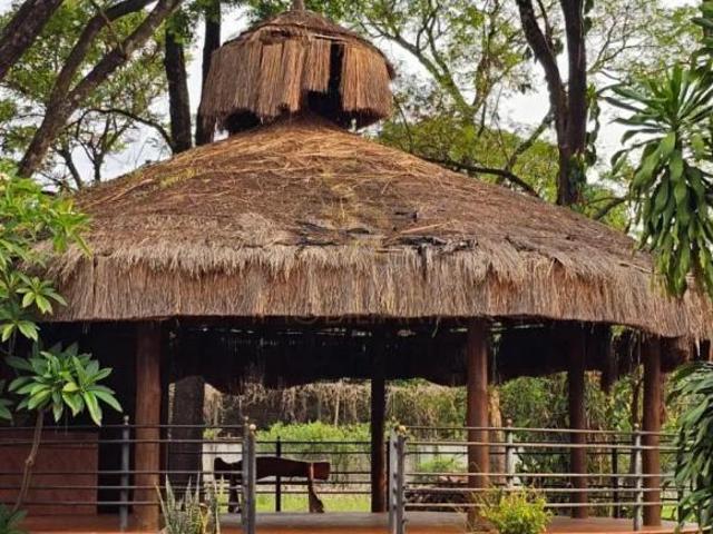 Sítio e chácara venda em Região Imediata de Ribeirão Preto, Região Metropolitana de Ribeirão Preto