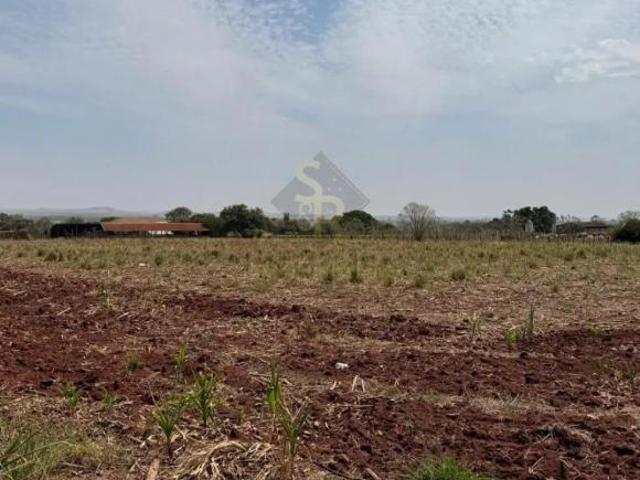 Sítio e chácara venda em Região Imediata de Ribeirão Preto, Região Metropolitana de Ribeirão Preto