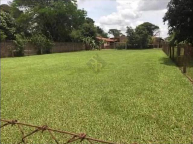 Sítio e chácara venda em Região Imediata de Ribeirão Preto, Região Metropolitana de Ribeirão Preto