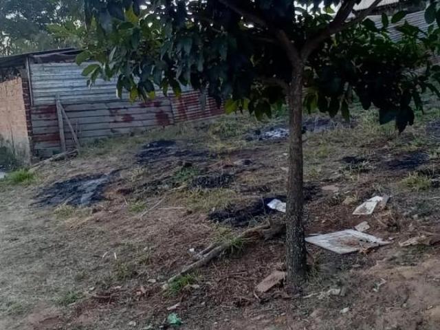 Sítio e chácara venda em Região Imediata de Ribeirão Preto, Região Metropolitana de Ribeirão Preto