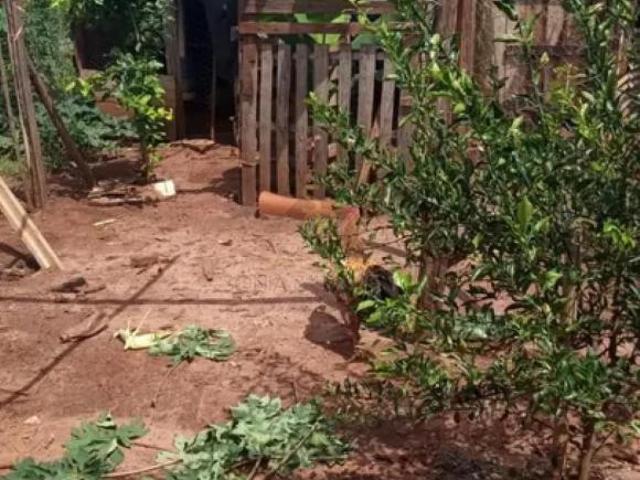 Sítio e chácara venda em Guatapará