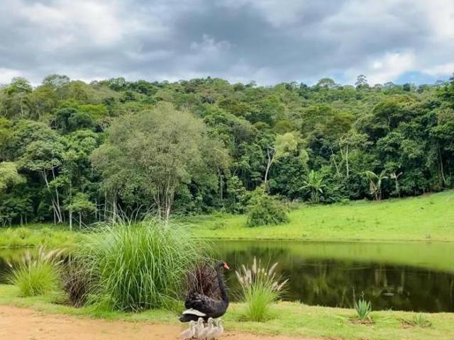 Sítio e chácara venda em Região Imediata de Sorocaba, Região Metropolitana de Sorocaba