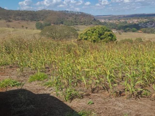 Sítio e chácara venda em Região Imediata de Ribeirão Preto, Região Metropolitana de Ribeirão Preto
