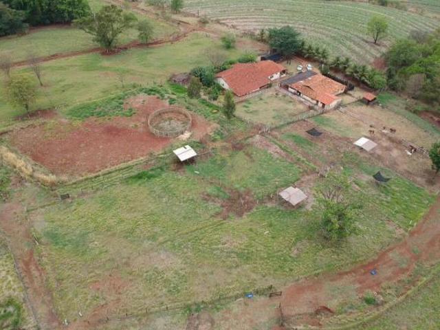 Sítio e chácara venda em Região Imediata de Ribeirão Preto, Região Metropolitana de Ribeirão Preto