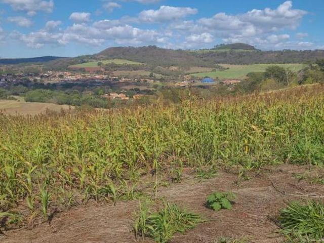 Sítio e chácara venda em Região Imediata de Ribeirão Preto, Região Metropolitana de Ribeirão Preto