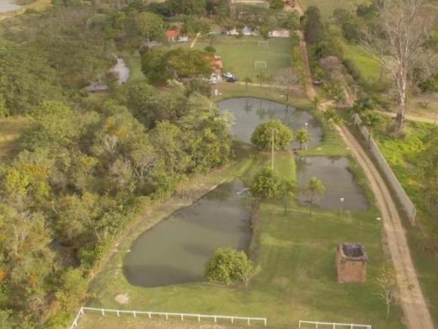 Sítio e chácara venda em Região Imediata de Ribeirão Preto, Região Metropolitana de Ribeirão Preto