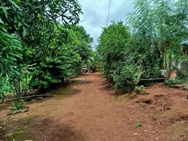 Sítio e chácara venda em Região Imediata de Ribeirão Preto, Região Metropolitana de Ribeirão Preto