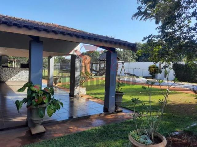Sítio e chácara venda em Região Imediata de Ribeirão Preto, Região Metropolitana de Ribeirão Preto
